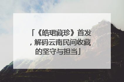 《皓珺藏珍》首发，解码云南民间收藏的坚守与担当