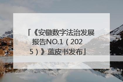 《安徽数字法治发展报告NO.1（2025）》蓝皮书发布