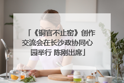 《铜官不止窑》创作交流会在长沙政协同心园举行 陈刚出席