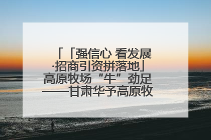 「强信心 看发展·招商引资拼落地」高原牧场“牛”劲足——甘肃华予高原牧场高标准奶牛肉牛养殖项目一线见闻
