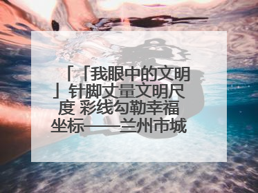 「我眼中的文明」针脚丈量文明尺度 彩线勾勒幸福坐标——兰州市城关区酒泉路街道办事处