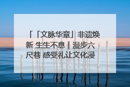 「文脉华章」非遗焕新 生生不息｜漫步六尺巷 感受礼让文化浸润的“巷”往生活