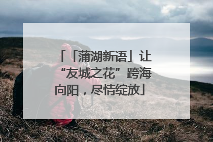 「蒲湖新语」让“友城之花”跨海向阳，尽情绽放