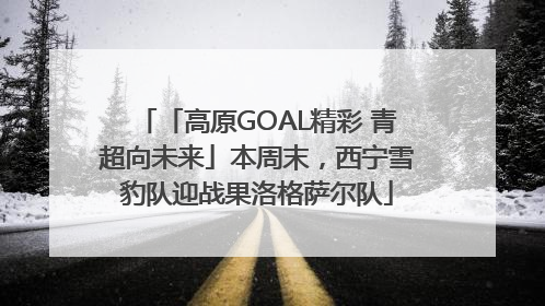 「高原GOAL精彩 青超向未来」本周末，西宁雪豹队迎战果洛格萨尔队