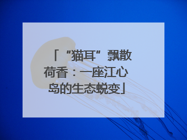 “猫耳”飘散荷香：一座江心岛的生态蜕变