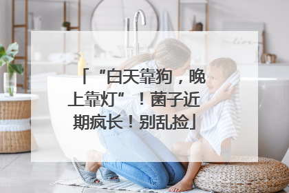 “白天靠狗，晚上靠灯”！菌子近期疯长！别乱捡