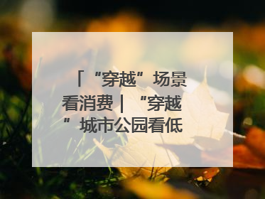 “穿越”场景看消费｜“穿越”城市公园看低空消费新场景