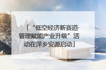 “低空经济新赛道·管理赋能产业升级”活动在萍乡安源启动