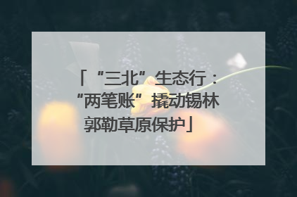 “三北”生态行：“两笔账”撬动锡林郭勒草原保护