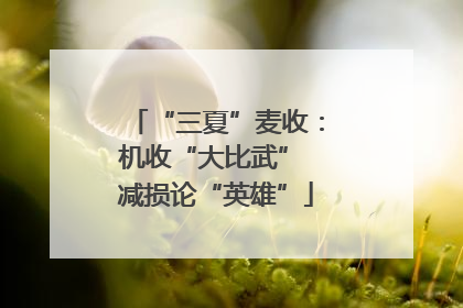“三夏”麦收：机收“大比武” 减损论“英雄”