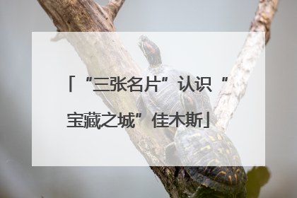 “三张名片”认识“宝藏之城”佳木斯