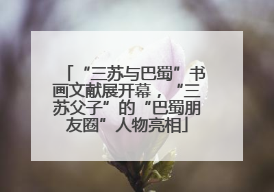 “三苏与巴蜀”书画文献展开幕，“三苏父子”的“巴蜀朋友圈”人物亮相