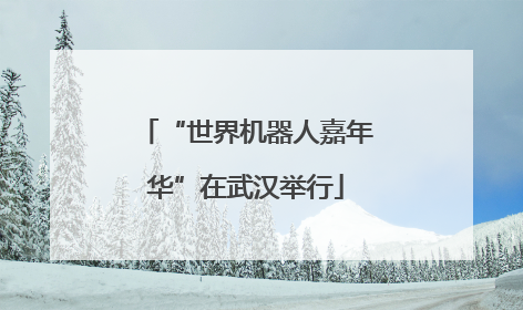 “世界机器人嘉年华”在武汉举行