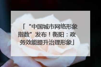 “中国城市网络形象指数”发布！衡阳：政务效能提升治理形象