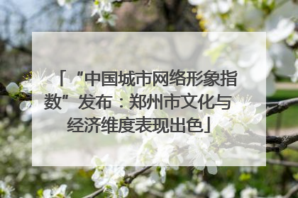 “中国城市网络形象指数”发布：郑州市文化与经济维度表现出色