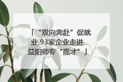 “双向奔赴”促就业 93家企业走进益阳师专“揽才”