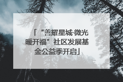 “善耀星城·微光暖开福”社区发展基金公益季开启