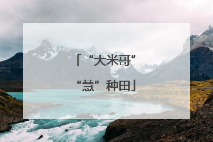 “大米哥”“慧”种田