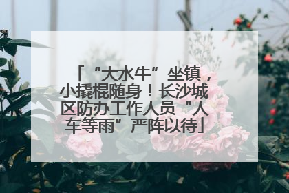 “大水牛”坐镇，小撬棍随身！长沙城区防办工作人员“人车等雨”严阵以待