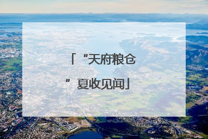 “天府粮仓”夏收见闻
