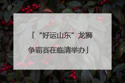 “好运山东”龙狮争霸赛在临清举办