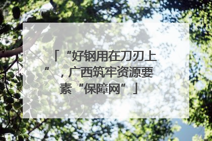 “好钢用在刀刃上”，广西筑牢资源要素“保障网”