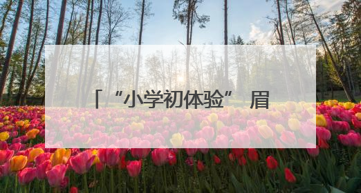 “小学初体验” 眉山彭山二小助力区幼萌娃探秘成长之旅