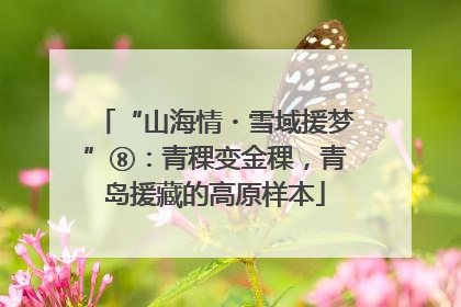 “山海情・雪域援梦”⑧：青稞变金稞，青岛援藏的高原样本
