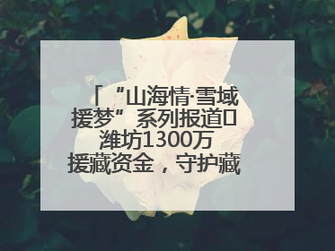 “山海情·雪域援梦”系列报道⑪ 潍坊1300万援藏资金，守护藏区群众健康“最后一公里”