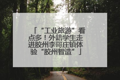 “工业旅游”看点多！外籍学生走进胶州李哥庄镇体验“胶州智造”