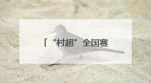 “村超”全国赛高县赛区圆满收官 小城与大赛实现“双向奔赴”