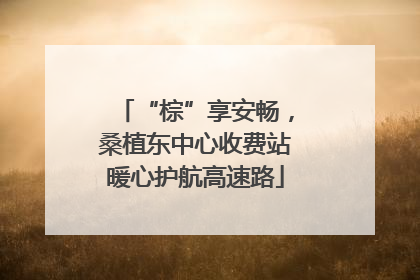 “棕”享安畅，桑植东中心收费站暖心护航高速路