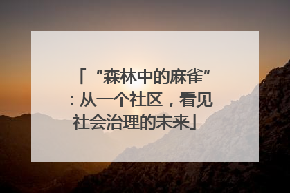 “森林中的麻雀”：从一个社区，看见社会治理的未来