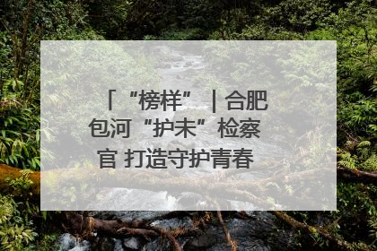 “榜样”｜合肥包河“护未”检察官 打造守护青春成长的永恒灯塔