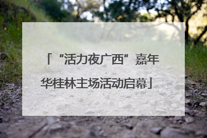 “活力夜广西”嘉年华桂林主场活动启幕