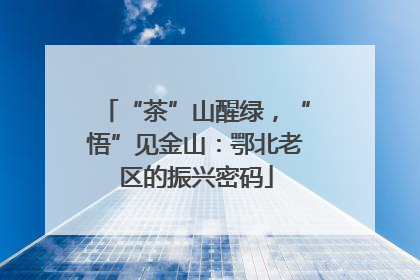 “茶”山醒绿，“悟”见金山：鄂北老区的振兴密码
