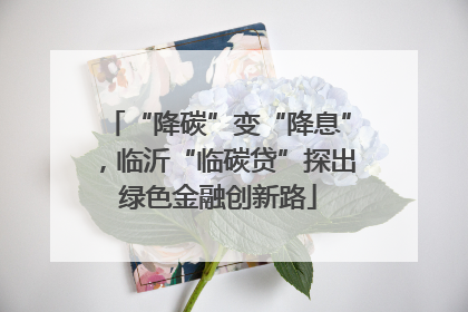 “降碳”变“降息”，临沂“临碳贷”探出绿色金融创新路