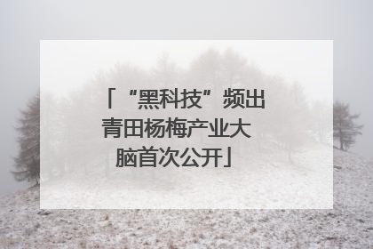 “黑科技”频出 青田杨梅产业大脑首次公开