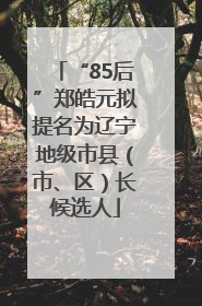 “85后”郑皓元拟提名为辽宁地级市县（市、区）长候选人