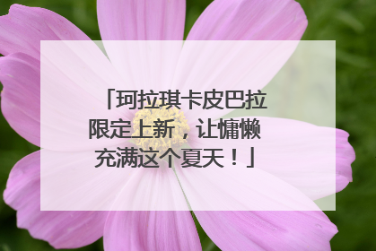 珂拉琪卡皮巴拉限定上新，让慵懒充满这个夏天！