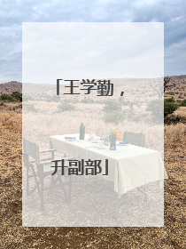 王学勤，升副部
