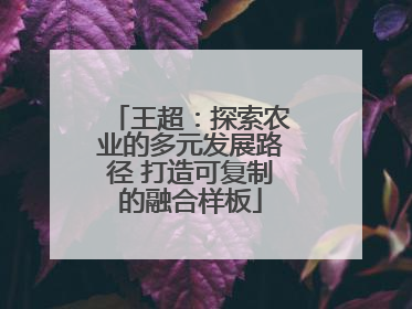 王超：探索农业的多元发展路径 打造可复制的融合样板