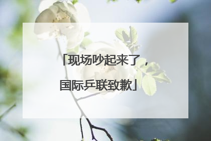 现场吵起来了，国际乒联致歉
