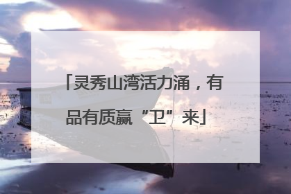 灵秀山湾活力涌，有品有质赢“卫”来
