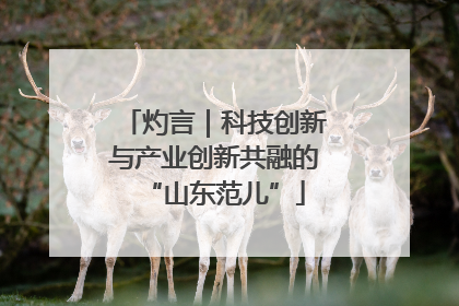 灼言｜科技创新与产业创新共融的“山东范儿”