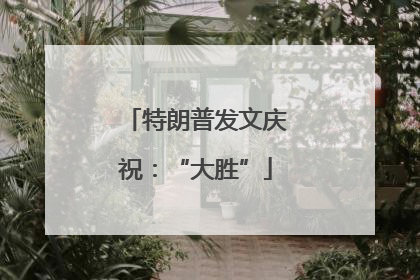 特朗普发文庆祝：“大胜”