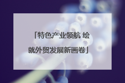 特色产业领航 绘就外贸发展新画卷