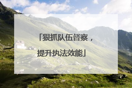 狠抓队伍督察，提升执法效能