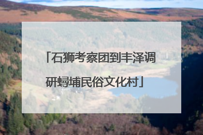 石狮考察团到丰泽调研蟳埔民俗文化村