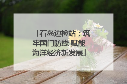 石岛边检站：筑牢国门防线 赋能海洋经济新发展
